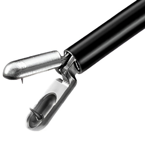 Biopsy Forceps 1