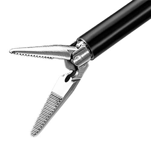 Dissecting Forceps 1
