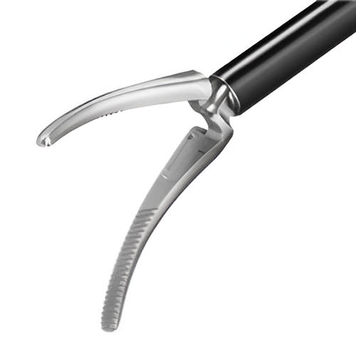 Dissecting Forceps 2