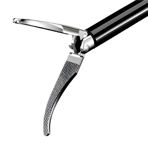Dissecting Forceps 3