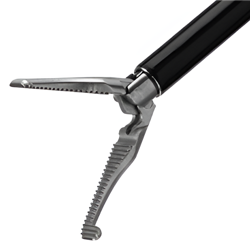 Dissecting Forceps 6