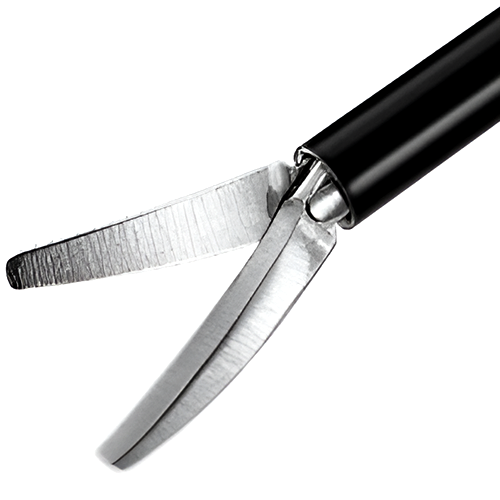 Surgical Scissors 3